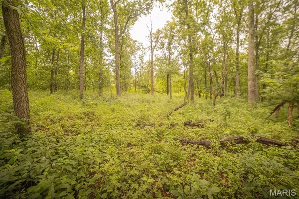 $846,002 | 0 Abbott Road, Bellflower, MO 63333
