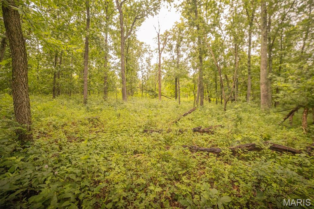 0 Abbott Road Bellflower, MO 63333 - Photo 18 of 18