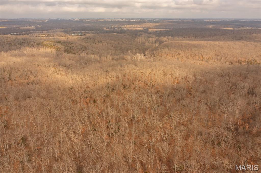 0 Abbott Road Bellflower, MO 63333 - Photo 20 of 30