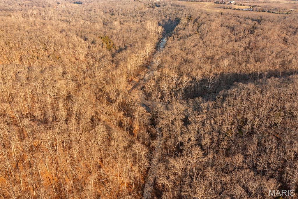 0 Abbott Road Bellflower, MO 63333 - Photo 2 of 18