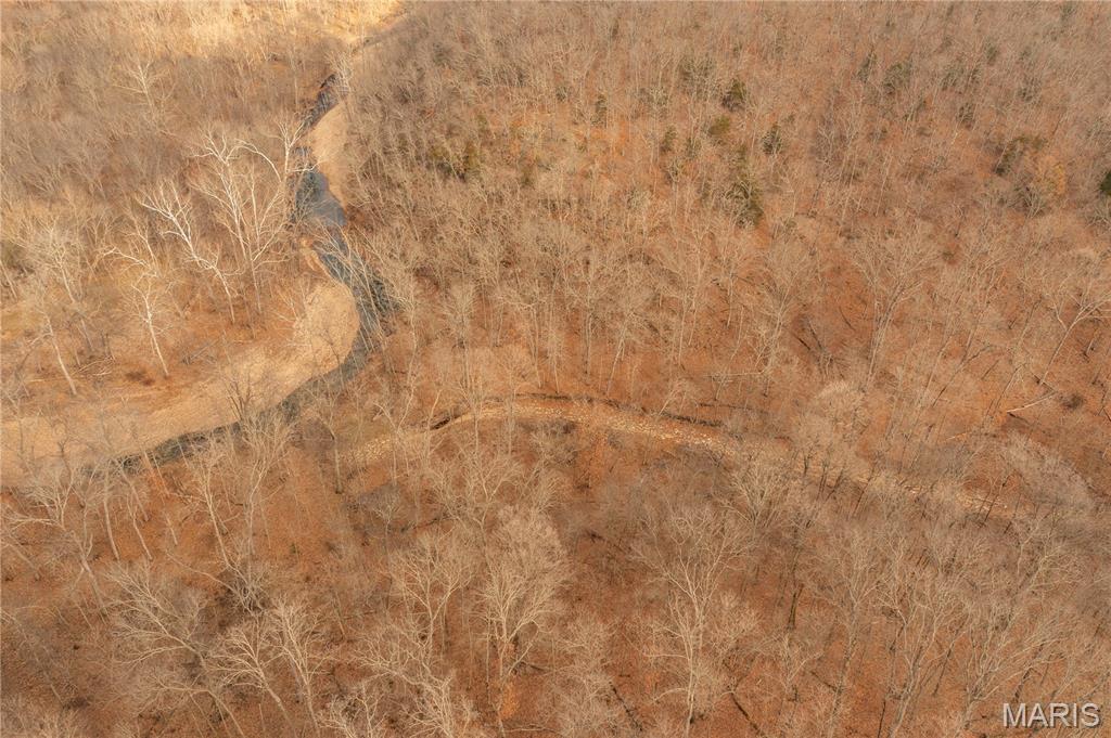 0 Abbott Road Bellflower, MO 63333 - Photo 21 of 30