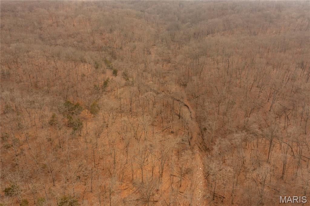 0 Abbott Road Bellflower, MO 63333 - Photo 22 of 30