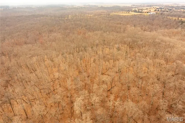 $980,000 | 0 Abbott Road, Bellflower, MO 63333