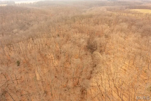 $980,000 | 0 Abbott Road, Bellflower, MO 63333