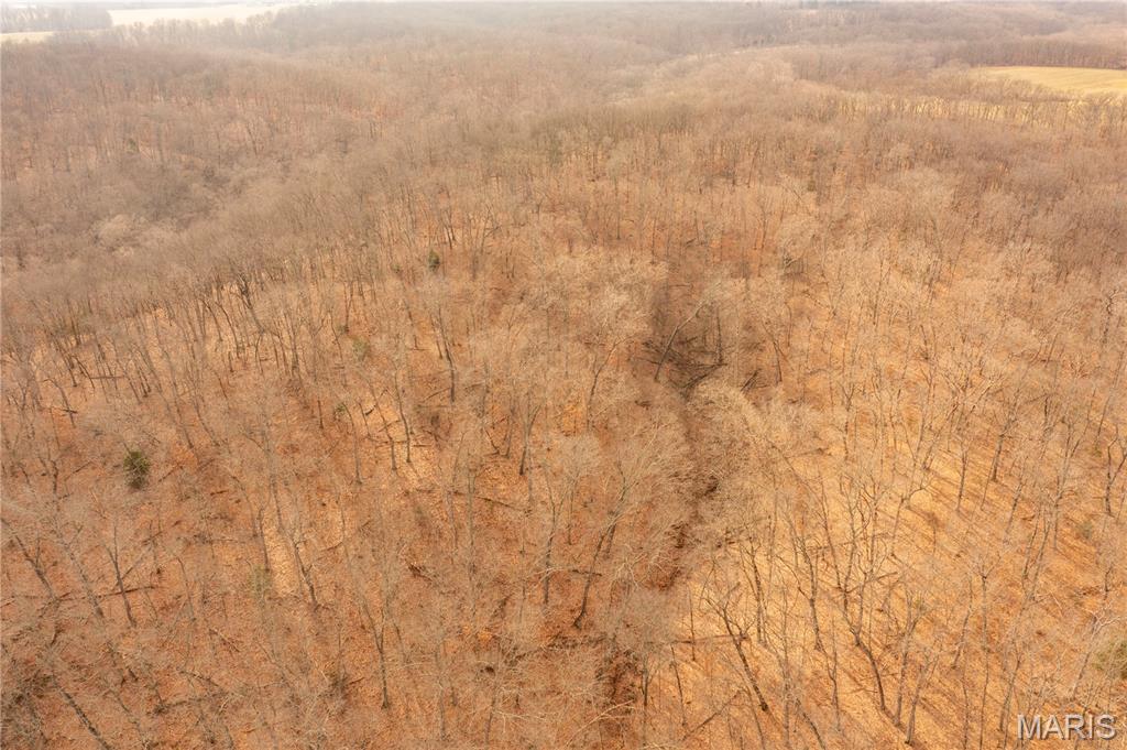 0 Abbott Road Bellflower, MO 63333 - Photo 24 of 30