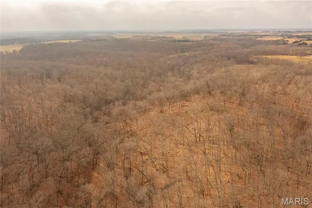 $980,000 | 0 Abbott Road, Bellflower, MO 63333