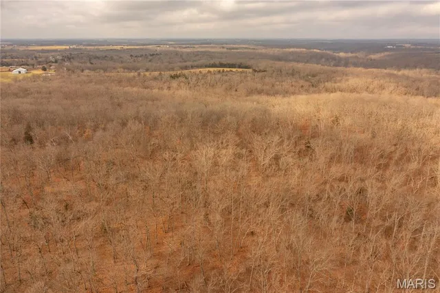 $980,000 | 0 Abbott Road, Bellflower, MO 63333