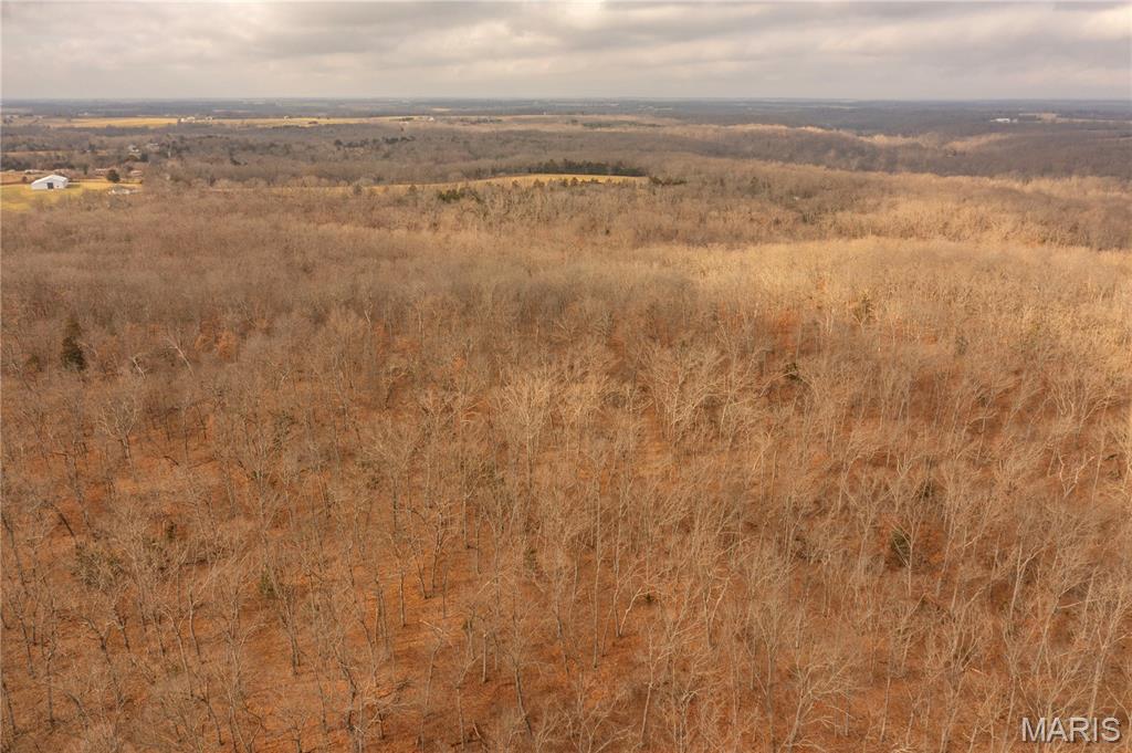 0 Abbott Road Bellflower, MO 63333 - Photo 26 of 30