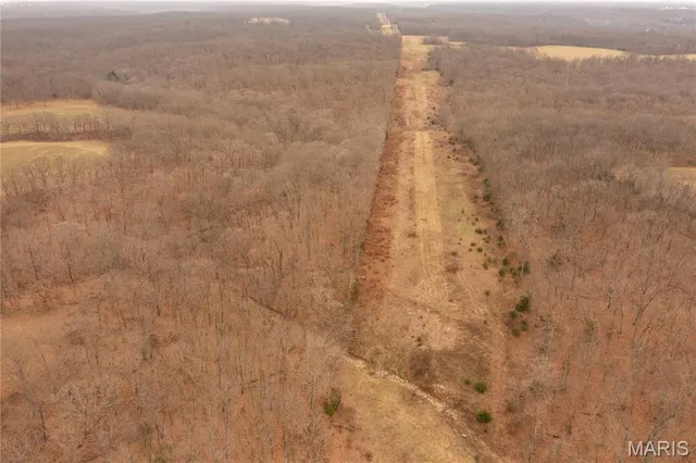 $980,000 | 0 Abbott Road, Bellflower, MO 63333