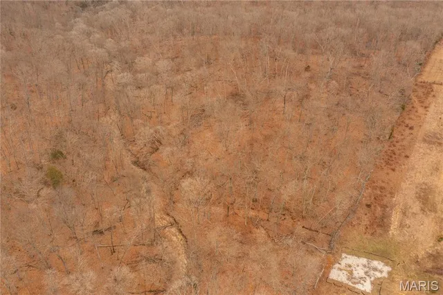 $980,000 | 0 Abbott Road, Bellflower, MO 63333