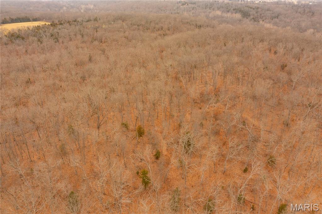 0 Abbott Road Bellflower, MO 63333 - Photo 29 of 30