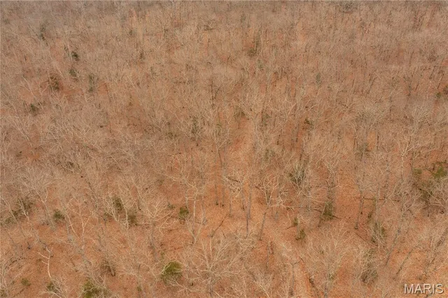 $980,000 | 0 Abbott Road, Bellflower, MO 63333