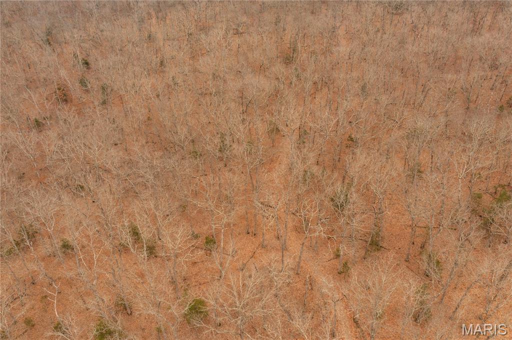 0 Abbott Road Bellflower, MO 63333 - Photo 30 of 30