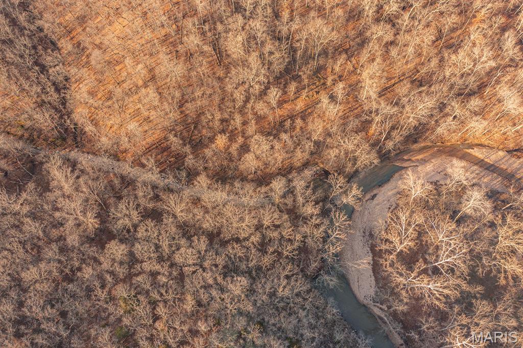 0 Abbott Road Bellflower, MO 63333 - Photo 3 of 18