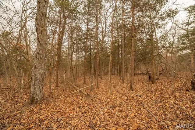 $980,000 | 0 Abbott Road, Bellflower, MO 63333