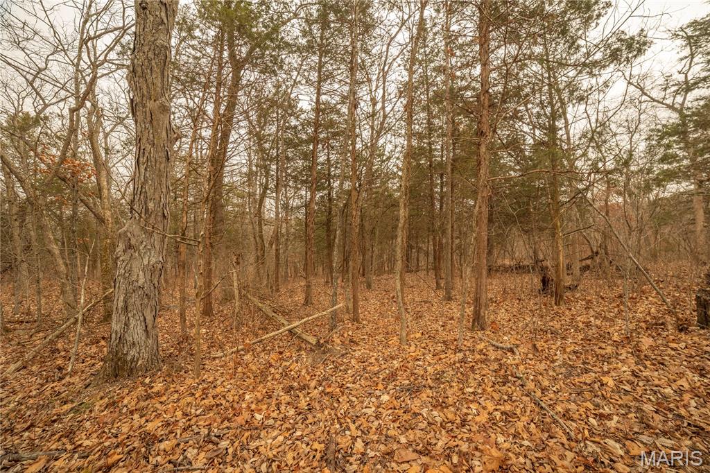 0 Abbott Road Bellflower, MO 63333 - Photo 3 of 30