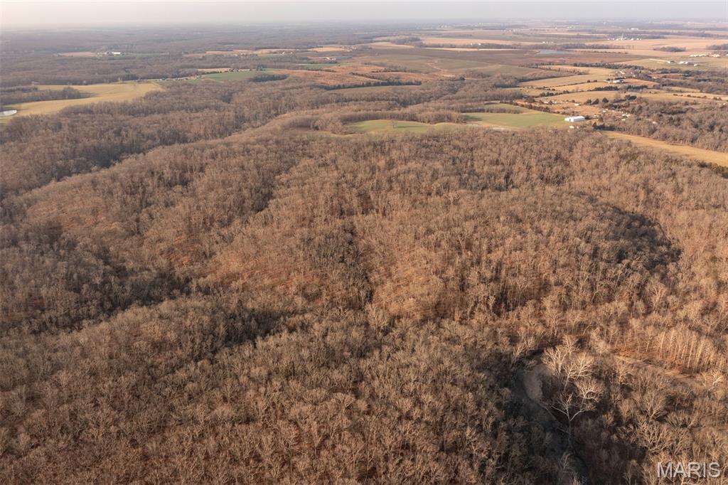 0 Abbott Road Bellflower, MO 63333 - Photo 4 of 18