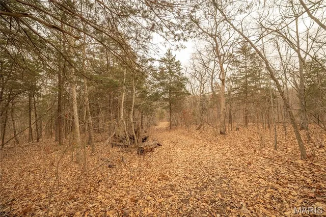 $980,000 | 0 Abbott Road, Bellflower, MO 63333