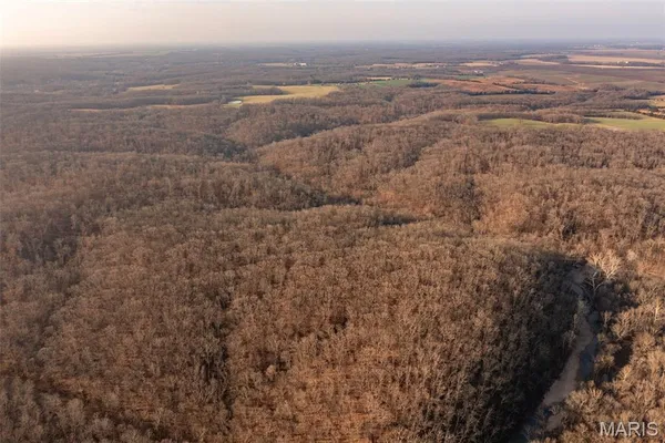 $846,002 | 0 Abbott Road, Bellflower, MO 63333