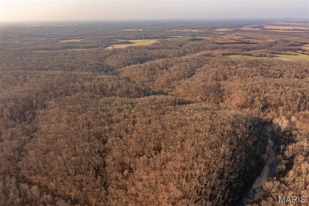 0 Abbott Road Bellflower, MO 63333 - Photo 5 of 18