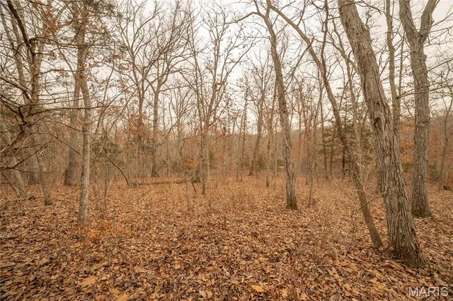 $980,000 | 0 Abbott Road, Bellflower, MO 63333