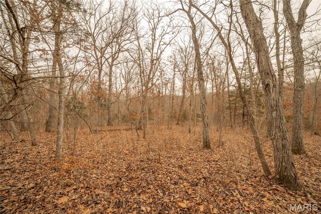 0 Abbott Road Bellflower, MO 63333 - Photo 5 of 30