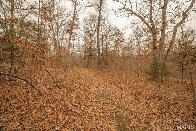 $980,000 | 0 Abbott Road, Bellflower, MO 63333