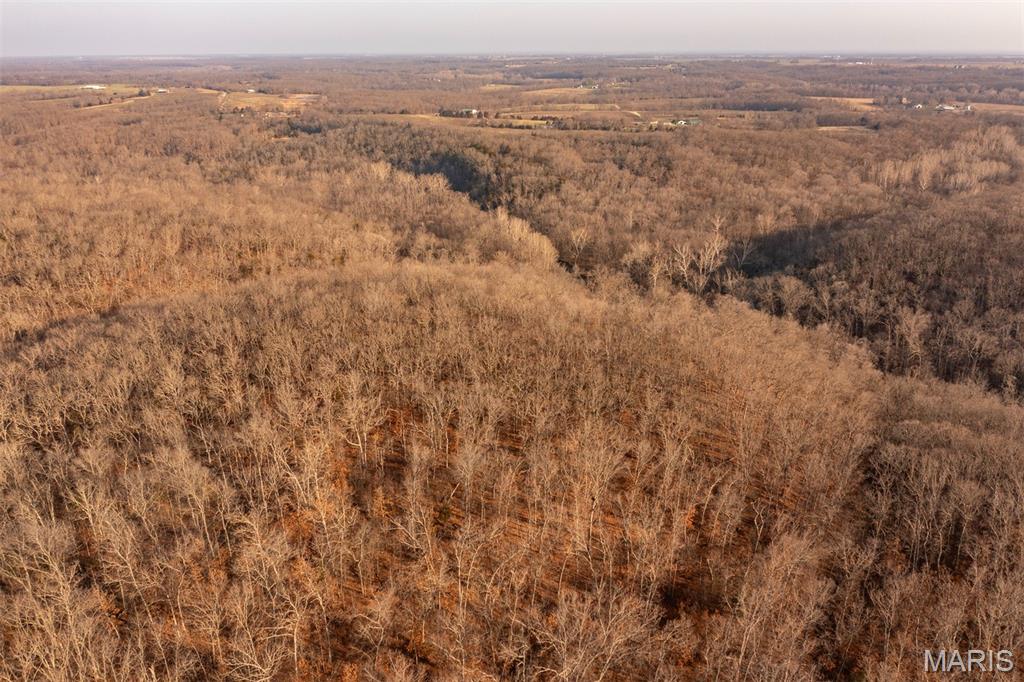 0 Abbott Road Bellflower, MO 63333 - Photo 7 of 18