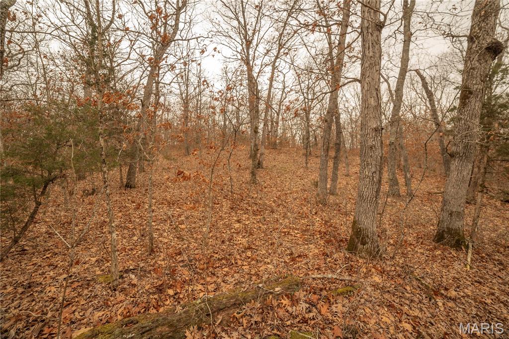 0 Abbott Road Bellflower, MO 63333 - Photo 7 of 30