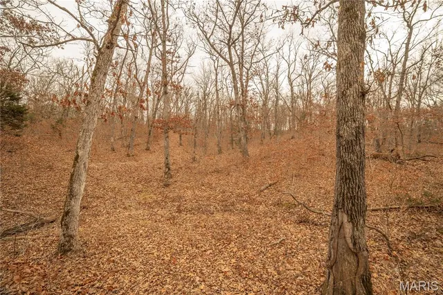 $980,000 | 0 Abbott Road, Bellflower, MO 63333