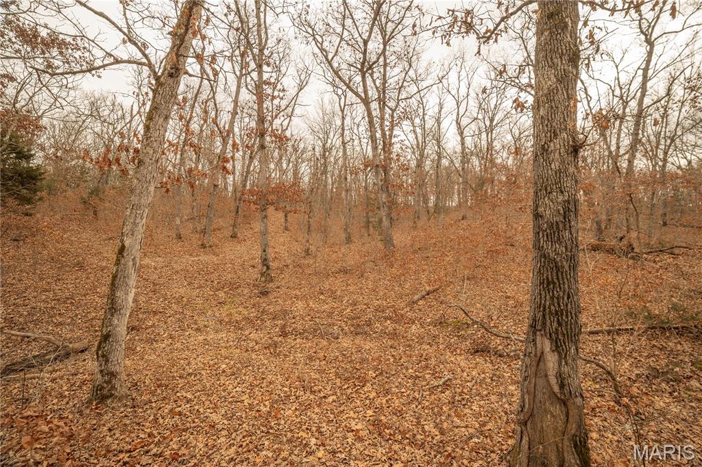 0 Abbott Road Bellflower, MO 63333 - Photo 8 of 30