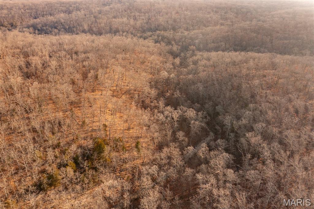 0 Abbott Road Bellflower, MO 63333 - Photo 8 of 18