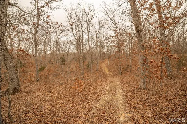 $980,000 | 0 Abbott Road, Bellflower, MO 63333