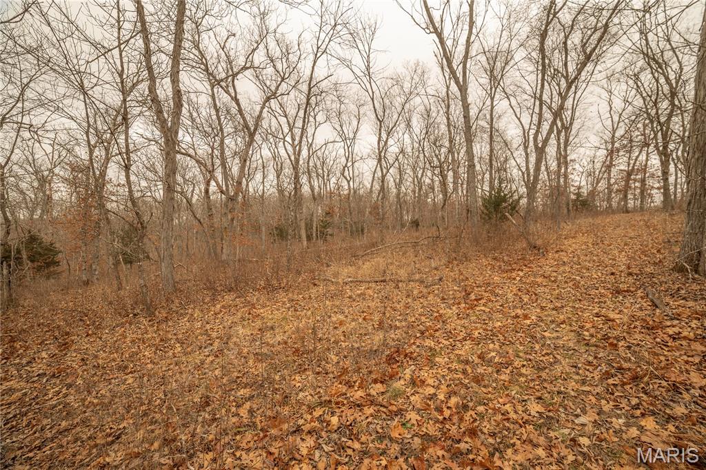 0 Abbott Road Bellflower, MO 63333 - Photo 10 of 30