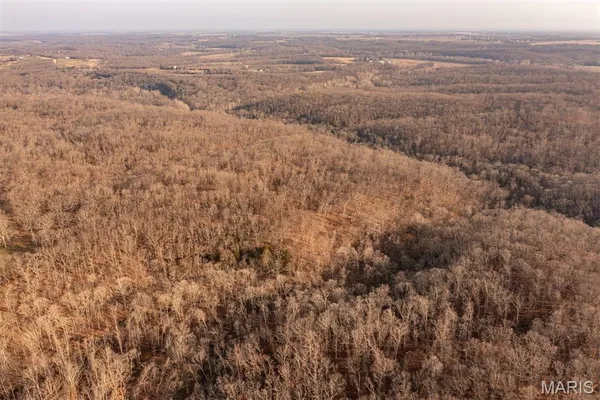 $846,002 | 0 Abbott Road, Bellflower, MO 63333