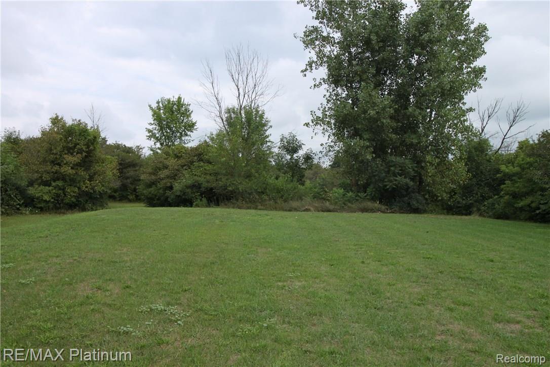 6450 Cook Road Swartz Creek, MI 48473 - Photo 6 of 33 IMG_4728.JPG