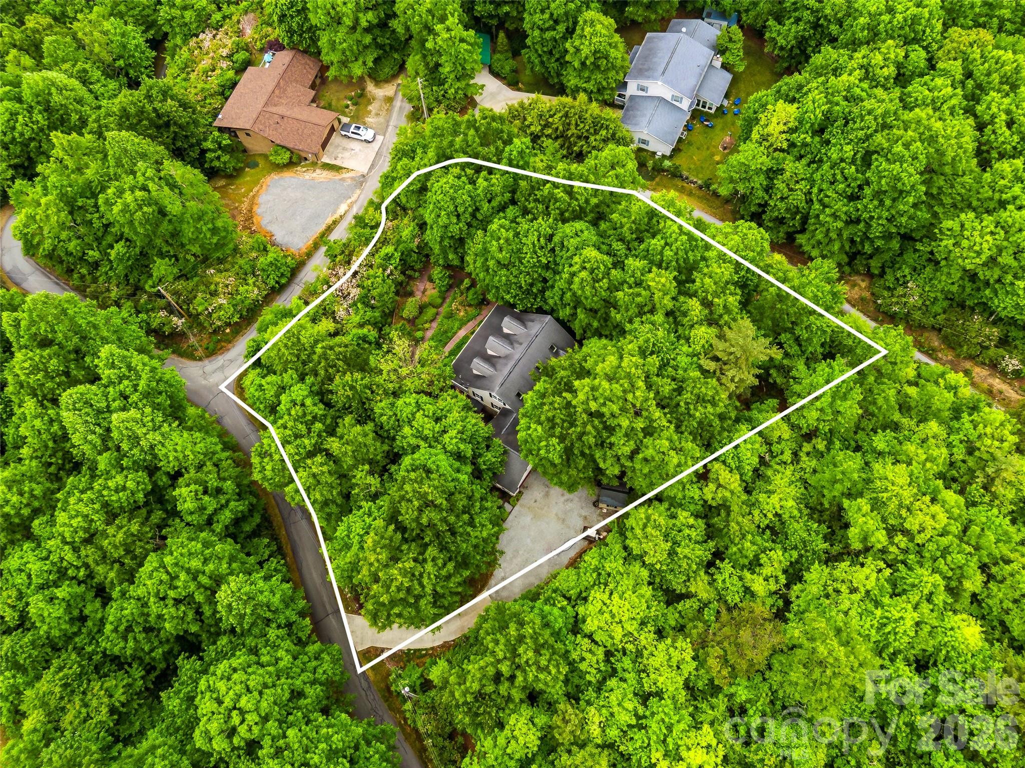 29 Panther Ridge Road Brevard, NC 28712 - Photo 6 of 48