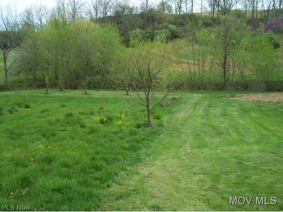 3514 Charleston Road Spencer, WV 25276 - Photo 9 of 11