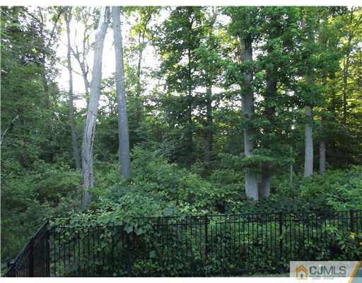 1 Cutter Court Cream Ridge, NJ 08514 - Photo 25 of 25 a view of a house in a forest