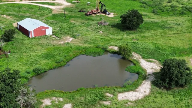 a view of a park with large trees