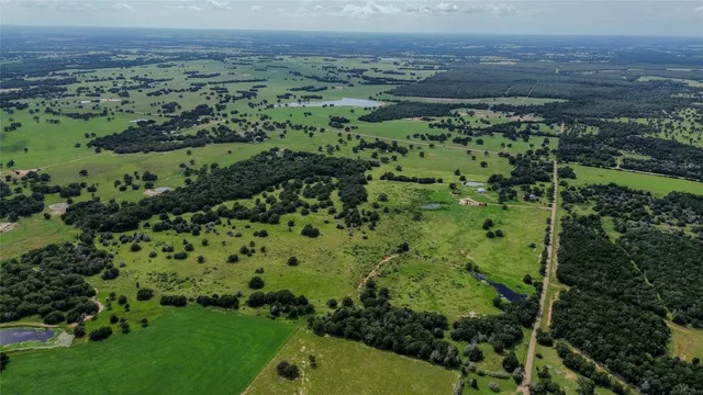a view of a garden with a building in background