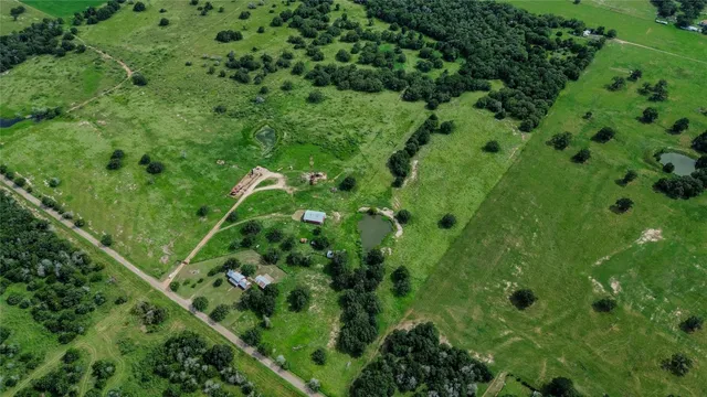 a view of a lush green forest