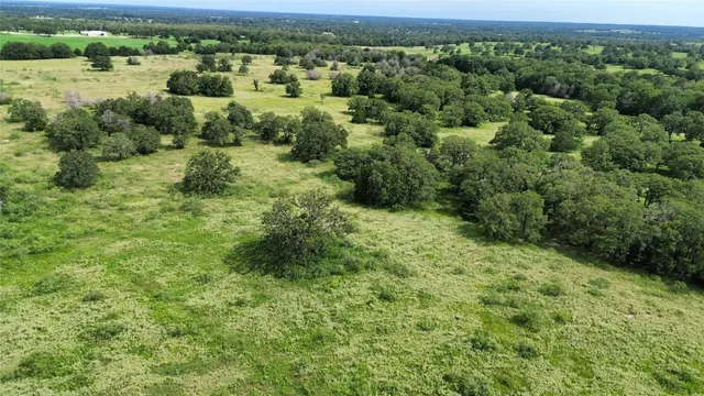 an aerial view of residential houses with outdoor space and trees