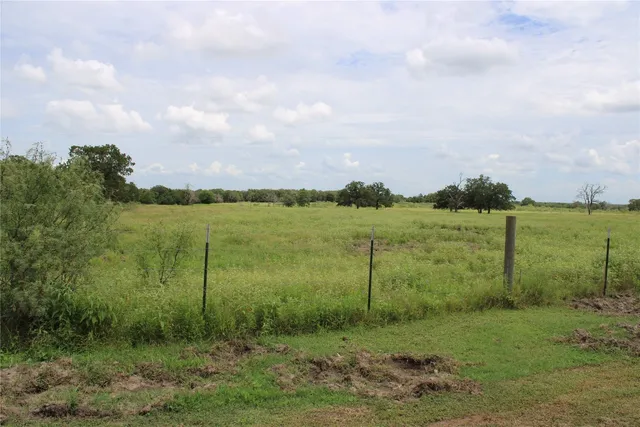 a view of a field with a tree in it