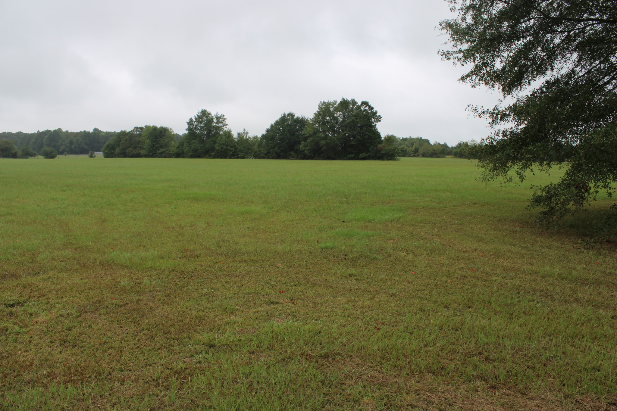 0 State Line Road Ardmore, TN 35739 - Photo 1 of 10 a view of a lake with houses in background
