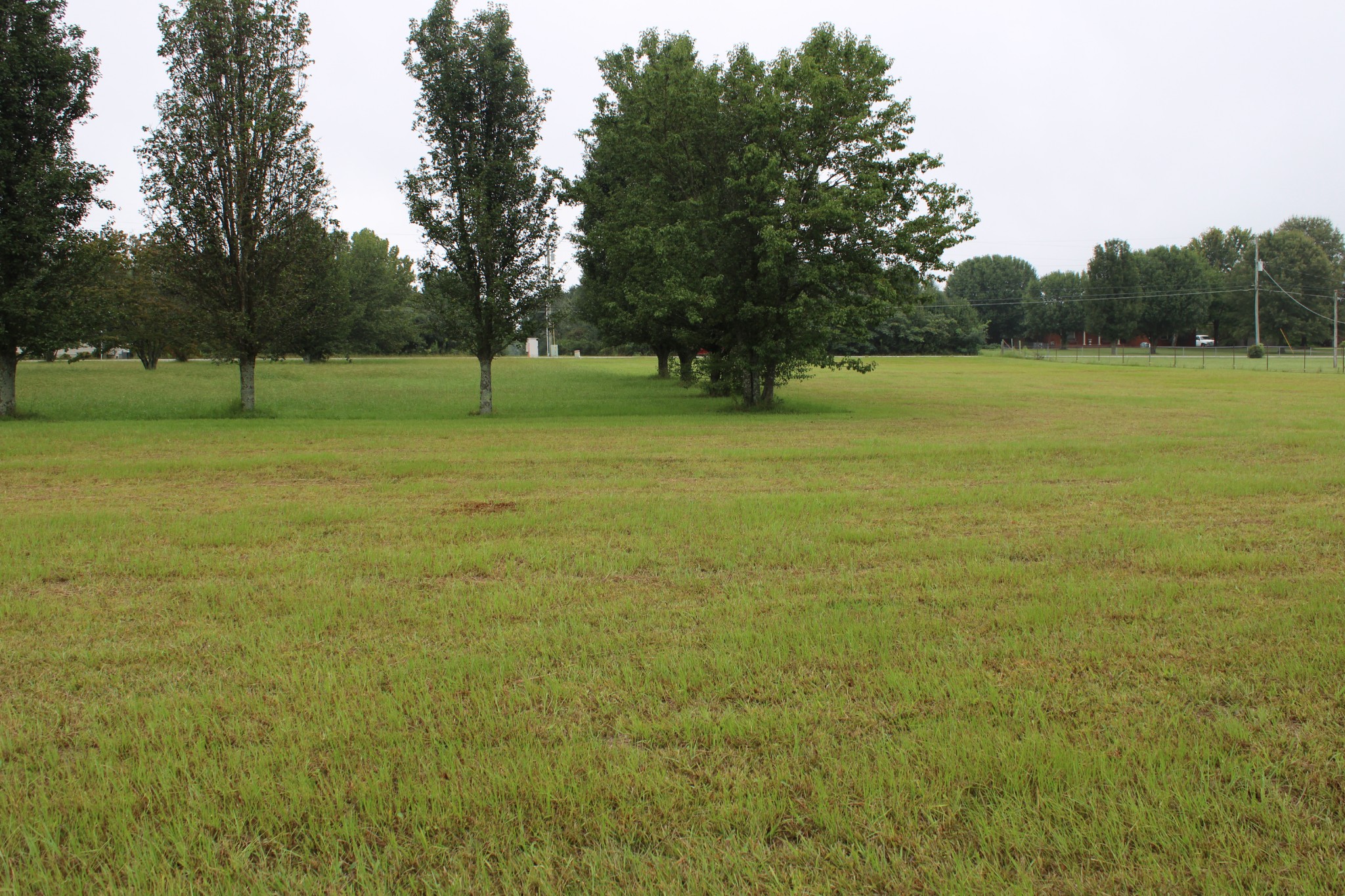 0 State Line Road Ardmore, TN 35739 - Photo 2 of 10 a view of a field with trees in the background
