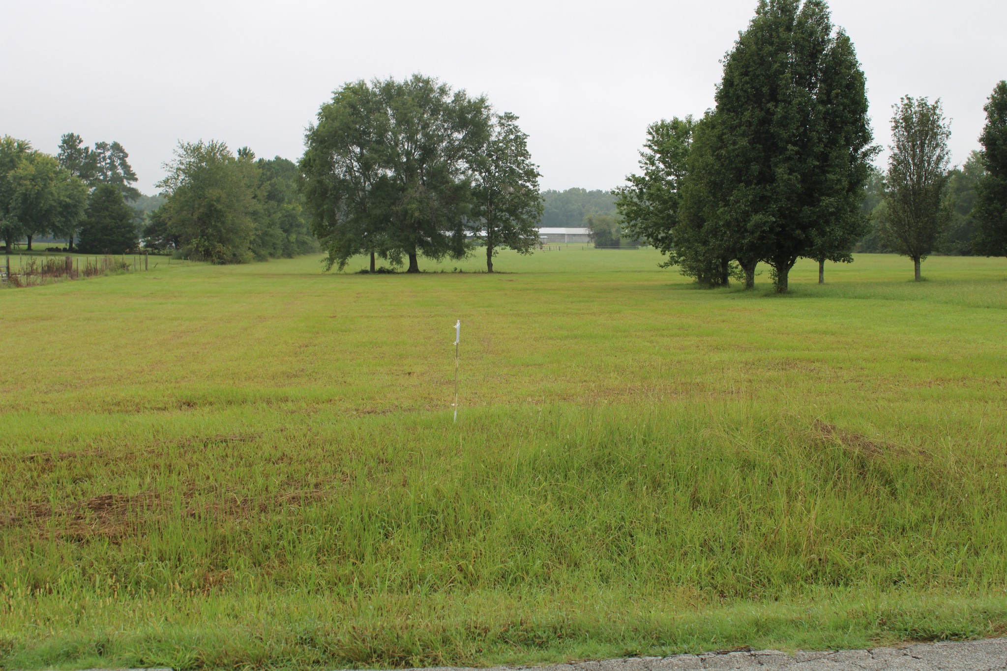 0 State Line Road Ardmore, TN 35739 - Photo 5 of 10 a view of a field with trees in the background