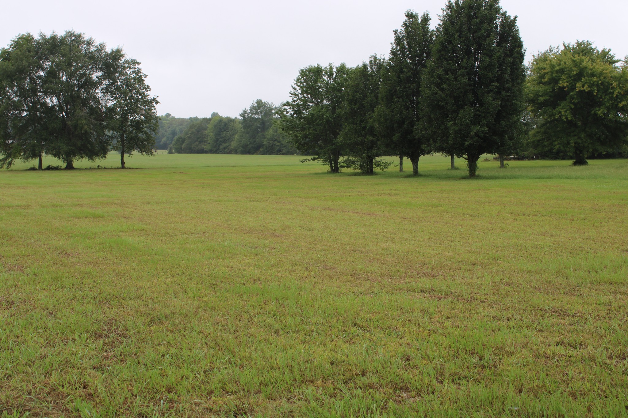 0 State Line Road Ardmore, TN 35739 - Photo 6 of 10 a view of outdoor space with green field and trees