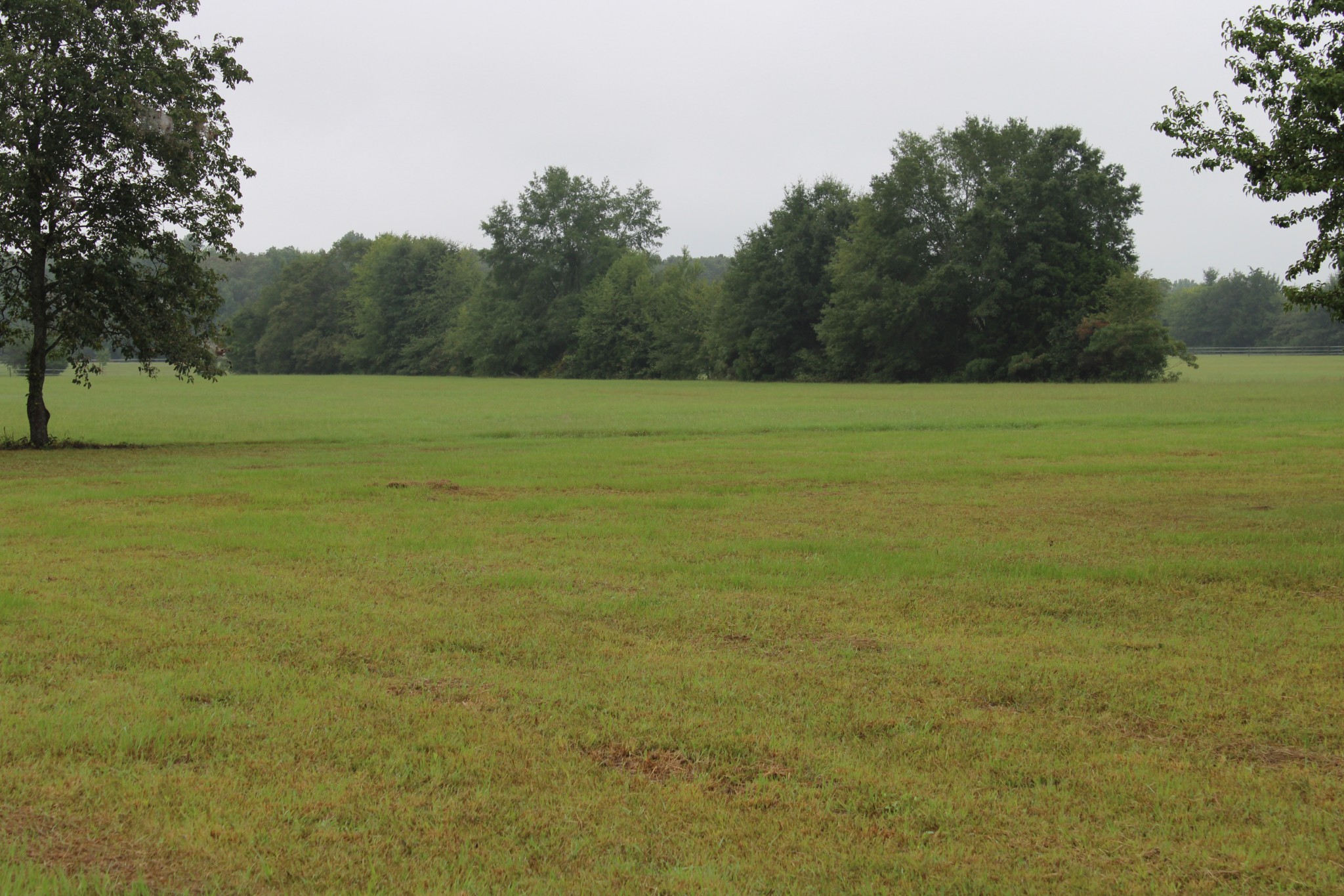 0 State Line Road Ardmore, TN 35739 - Photo 8 of 10 a view of a field with an trees