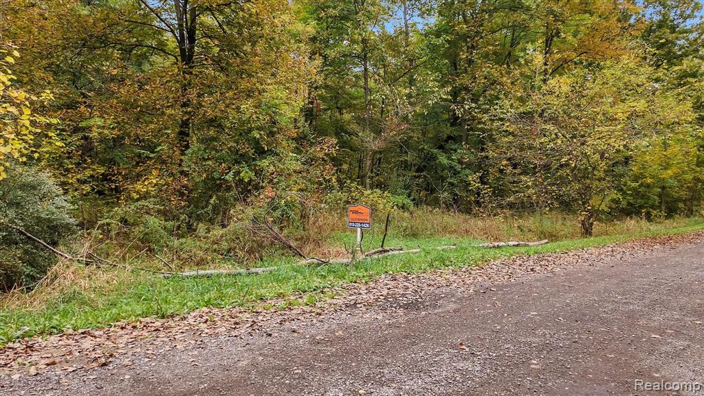 0 Woodhaven Road Howell, MI 48855 - Photo 11 of 18